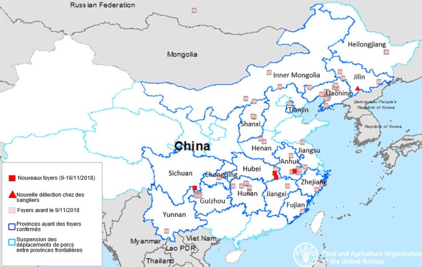 situación ppa china