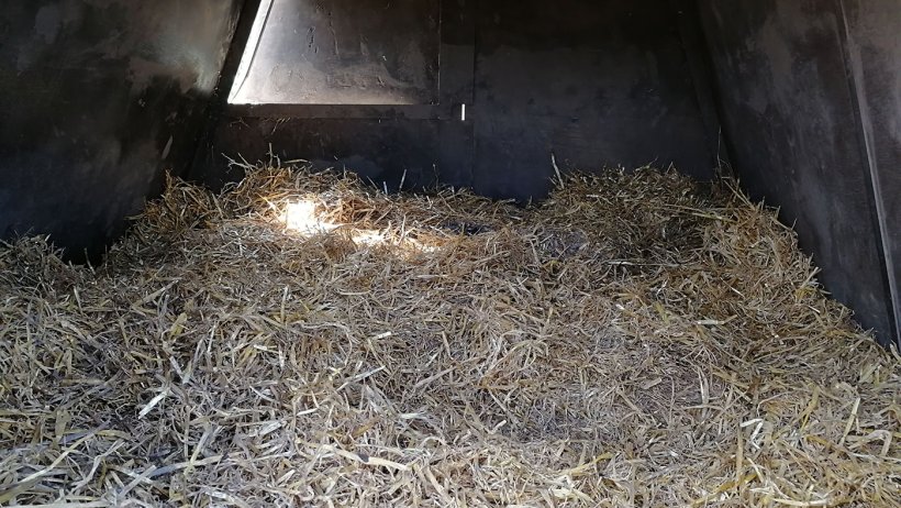 Case de mise-bas avec nid