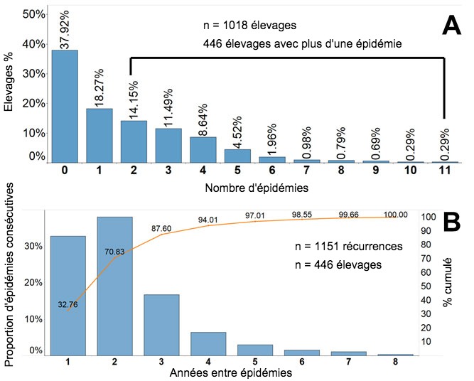 Figure 2. Fr&eacute;quence des foyers de SDRP d&eacute;clar&eacute;s dans la base de donn&eacute;es du Projet Morrison de surveillance de la sant&eacute; des porcs (MSHMP).&nbsp;
A. Pourcentage / proportion d'&eacute;levages sur le nombre de foyers signal&eacute;s depuis 2009. B. Axe de gauche: Pourcentage / proportion de foyers cons&eacute;cutifs class&eacute;s par ann&eacute;es &nbsp;dans la sous-population des &eacute;levages ayant signal&eacute; plus d'un foyer. Axe droit: Pourcentage cumul&eacute; des foyers cons&eacute;cutifs.
