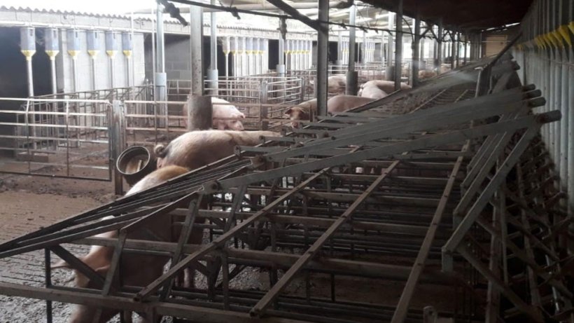 Figure 3. Type de parcs disponibles dans cet élevage