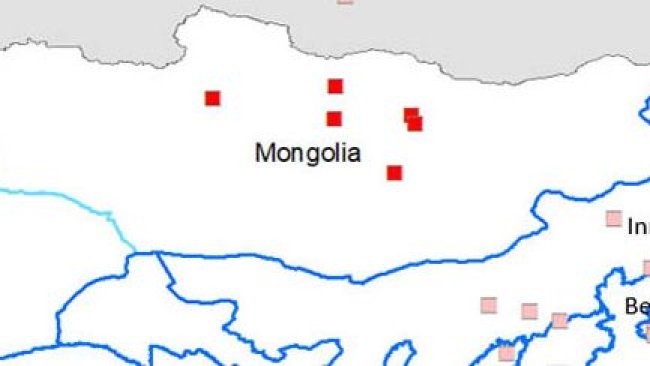 Provinces touchées : Bulgan, Orkhon, Tuv et Dundgovi, ainsi que dans le district de Bayangol, à Oulan-Bator.