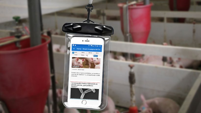 Un téléphone portable dans un sachet étanche.