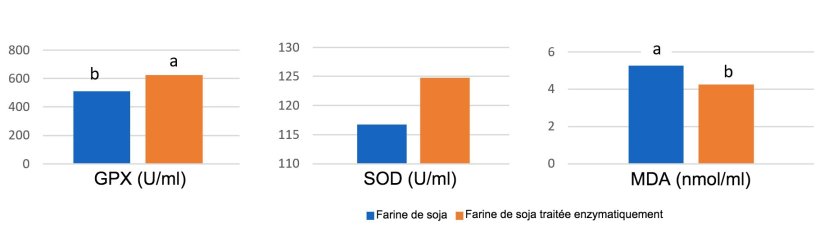 Graphique 1: L'alimentation avec du soja traité enzymatiquement avec une faible teneur en antigène de soja a entraîné des concentrations plasmatiques plus élevées d'enzymes antioxydantes et une réduction du malonyl dialdéhyde (MDA), marqueur des dommages oxydatifs, le 14e jour après le sevrage, par comparaison avec un tourteau de soja à forte teneur en antigène. (Ma et al., 2018)