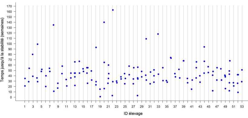 Figure 2: Temps jusqu'&agrave; la stabilit&eacute; par rapport au SRRP dans chaque &eacute;levage sur 53 &eacute;levages de truies du Midwest am&eacute;ricain. Chaque point repr&eacute;sente le TTS observ&eacute; pour chaque foyer dans un &eacute;levage donn&eacute;.
