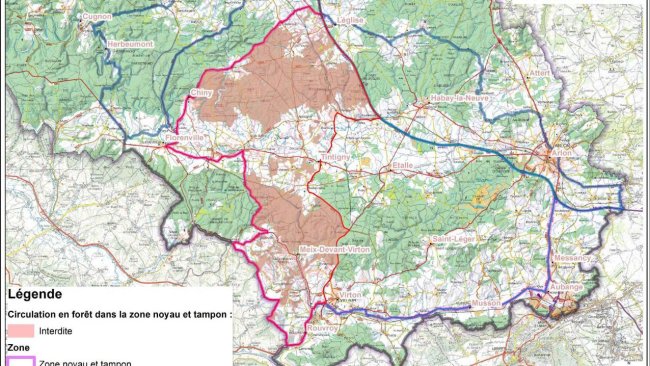 Circulation en fôret dans la zone noyau et tampon.