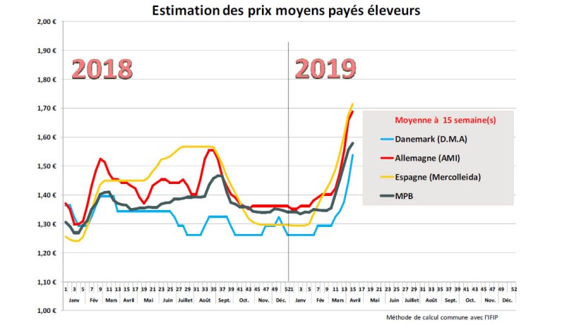 March&eacute; porc breton