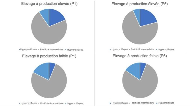 Figure 1. Répartition des types de truies, dans les mises-bas 1 et 6, classées par types d'élevage.