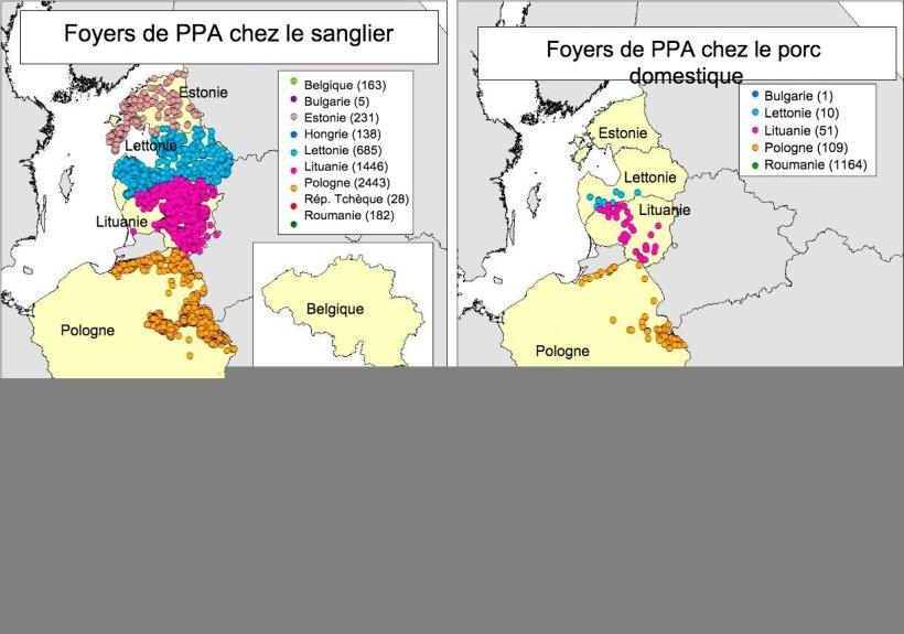 Carte foyers d&eacute;clar&eacute;s en Belgique, Bulgarie, Estonie, Hongrie, Lettonie, Lituanie, Pologne, R&eacute;p. Tch&egrave;que et Roumanie en 2018 (Source RASVE-ADNS)
