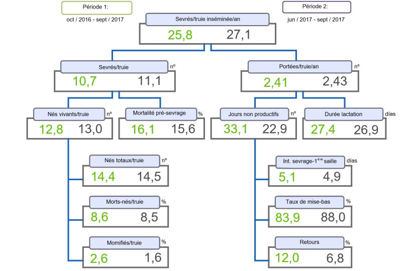 Figure 1. Arbre de productivité des porcelets sevrés / truie inséminée et par an comparée de deux périodes.