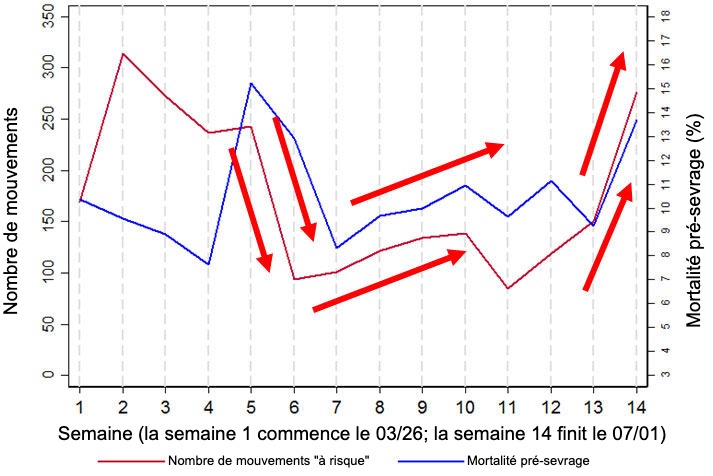 Figure 2. Graphique illustrant la relation entre la mortalit&eacute; avant le sevrage et le nombre de mouvements "&agrave; risque" (d&eacute;finis comme mouvements vers / depuis les quais de chargement et / ou le sevrage). Ces donn&eacute;es sont un sous-ensemble des donn&eacute;es collect&eacute;es pendant 14 semaines dans l&rsquo;un des &eacute;levages analys&eacute;s, l'&eacute;levage 3.

