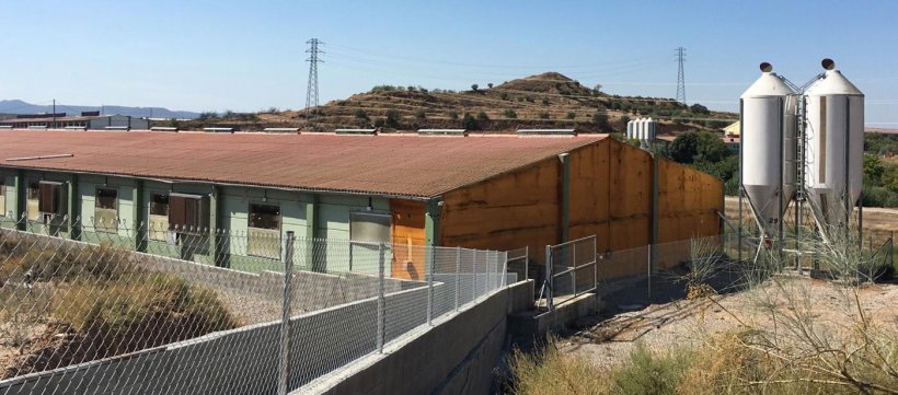 Image 5. Plate-forme de l'un des nouveaux chargeurs.
