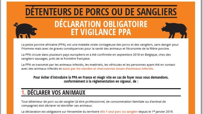 fiche prévention ppa