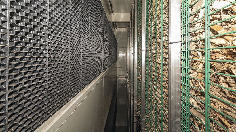 Après le nettoyage humide, l’air est transporté à travers la paroi à biofiltre.