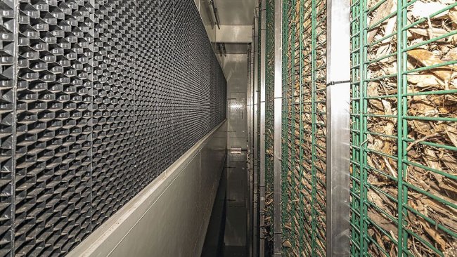 Après le nettoyage humide, l’air est transporté à travers la paroi à biofiltre.