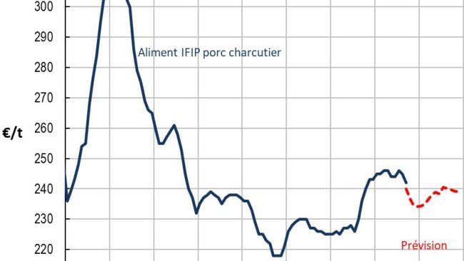 La baisse du prix de l’aliment pourrait se poursuivre jusqu’à fin 2019, avant de rebondir légèrement début 2020. Source: IFIP