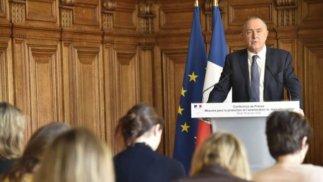 bien-être animal porcs