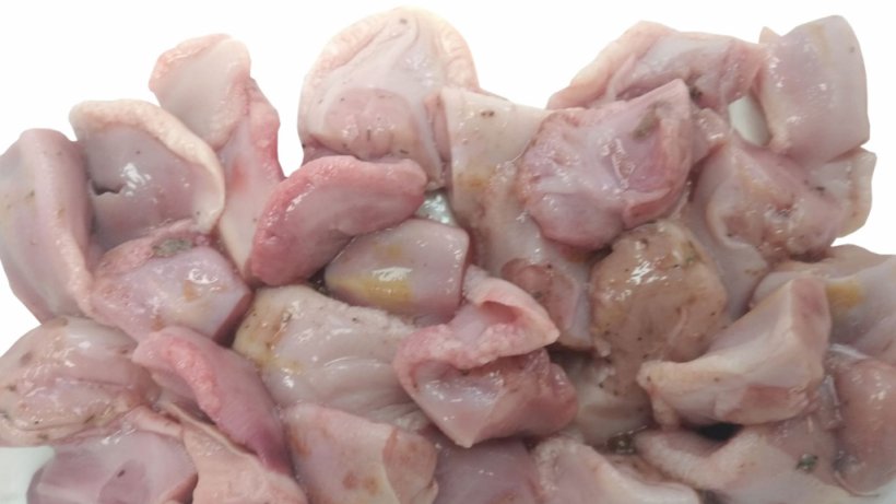 Photo 1. Langues de porcelets morts en lactation.
