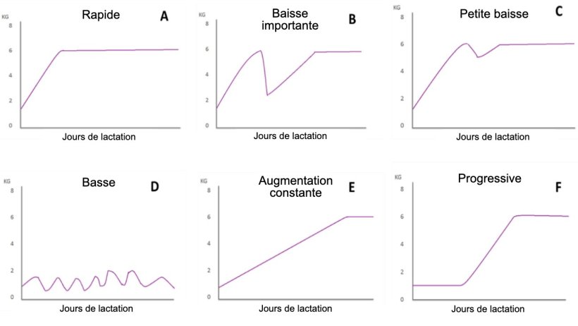 Figure 1. Profils d'alimentation des truies allaitantes d&eacute;crits par Koketsu et al (1996a). A) Augmentation rapide de la consommation; B) diminution significative; C) petite chute; D) faible consommation tout au long de la lactation; E) faible consommation la premi&egrave;re semaine de lactation et augmentation constante le reste de la lactation; et F) augmentation progressive de la consommation.
