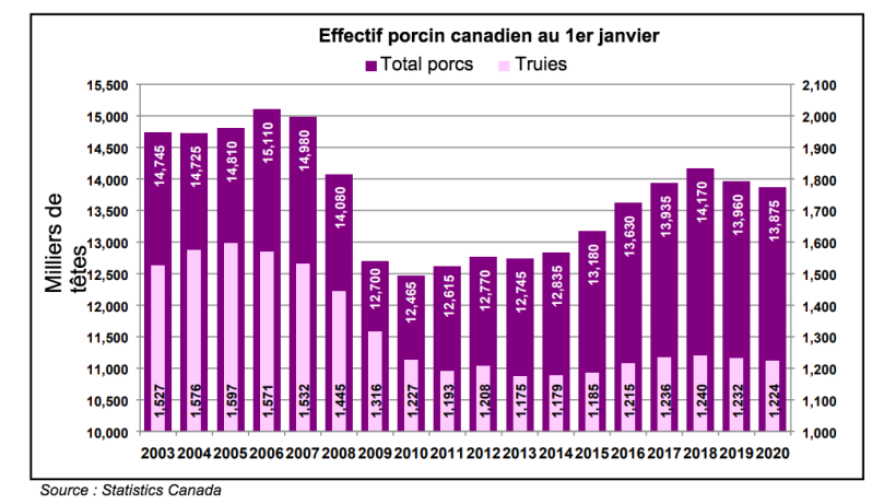 Effectif canadien des porcs et des truies au 1er janvier par an
