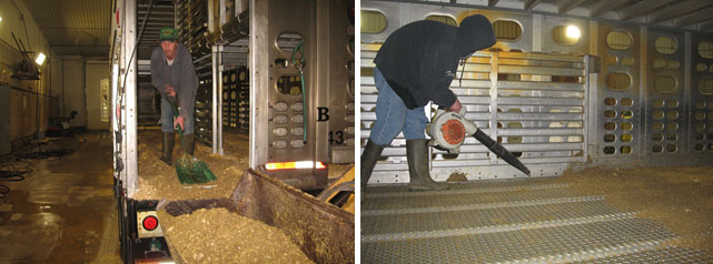 &nbsp;Image 2: Processus de nettoyage &agrave; sec dans lequel la plupart des mati&egrave;res organiques sont &eacute;limin&eacute;es manuellement. Avec l'aimable autorisation du Dr Clayton Johnson de Carthage Veterinary Services.
