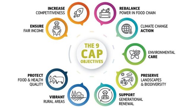 CAP 9 objectives