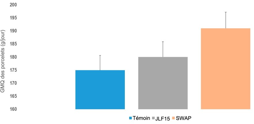 Figure 3. GMQ des porcelets dans les 3 syst&egrave;mes &eacute;tudi&eacute;s (conventionnel, JLF15 et SWAP).
