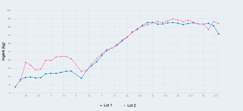 Figure 1. Consommation d'aliments du 107ème jour de gestation au sevrage (28ème jour de lactation) de truies nourries avec un maximum de 2,8 kg / jour (lot 1) et 4,2 kg / jour (lot 2) d'aliment pendant les jours précédant la mise-bas.