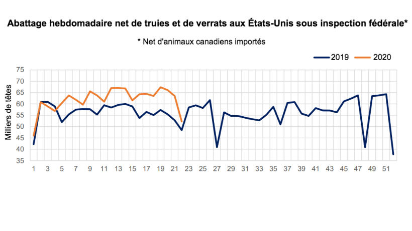 Source : USDA, transformations du Service de Recherche Economique de l'USDA, données du Service de Recherche Agricole.