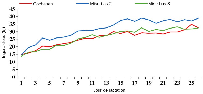Illustration 2 Evolution de la consommation d'eau pendant la lactation en fonction du rang de mise-bas. Source: S. Kruse, 2011.