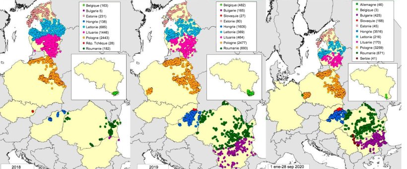 Carte des foyers d&eacute;clar&eacute;s chez les sangliers en 2018, 2019 et 2020 (jusqu'au 28 septembre 2020) (Source : MAPA &agrave; partir de RASVE-ADNS)
