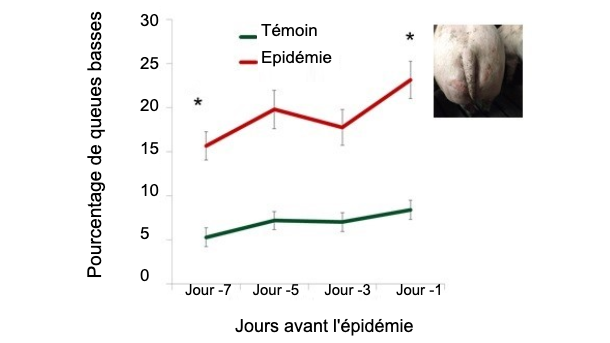 Figure 1. Pourcentage de queues basses dans les jours précédant l'épidémie.