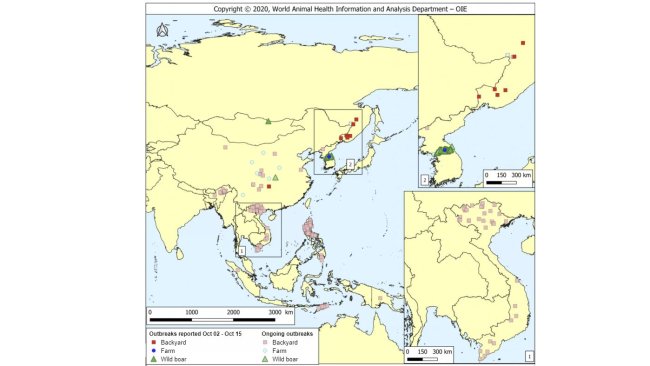Foyers de PPA notifiés au cours de la période (couleurs d'intensité plus élevée) et foyers en cours (couleurs d'intensité plus faible). Source : OIE.