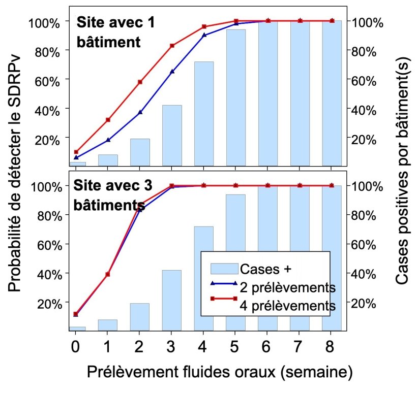 Figure 1. D&eacute;tection du SDRPv &agrave; l'aide d'un &eacute;chantillonnage spatial fixe. Probabilit&eacute; de d&eacute;tecter &ge; 1 &eacute;chantillon positif au SDRP en fonction du nombre d'&eacute;chantillons pr&eacute;lev&eacute;s par b&acirc;timent (2 ou 4) et du nombre de cases &eacute;chantillonn&eacute;es par &eacute;levage (1 ou 3). Notez que la probabilit&eacute; de d&eacute;tection augmente g&eacute;om&eacute;triquement avec le nombre de cordes et de b&acirc;timents &eacute;chantillonn&eacute;s. Donn&eacute;es de Rotolo et al., (2017).
