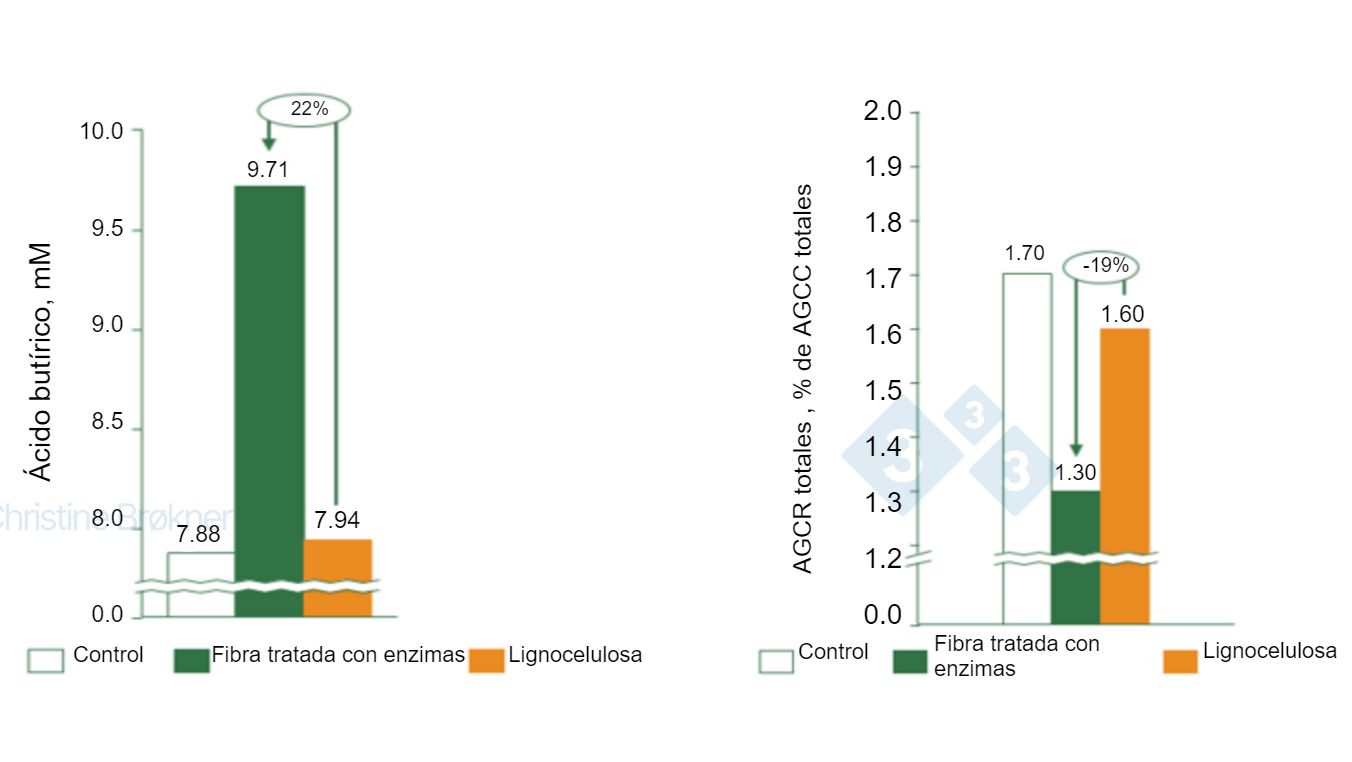 Figure 1. Contr&ocirc;le = pas de fibre, fibre trait&eacute;e avec des enzymes = PNA soluble, Lignocellulose = PNA insoluble. (A) La production d'acide butyrique augmente de 22% chez les porcelets (15 kg) lors de la fermentation de fibres solubles. (B) La fermentation des prot&eacute;ines est r&eacute;duite de 19% chez les porcelets (15 kg) par la fermentation de fibres solubles. AGCC = acides gras &agrave; cha&icirc;ne courte, AGCR = acides gras &agrave; cha&icirc;ne ramifi&eacute;e.
