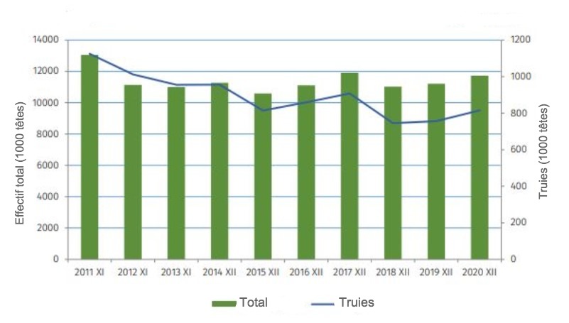 La population porcine de la Pologne depuis 2011. (Source : GUS)
