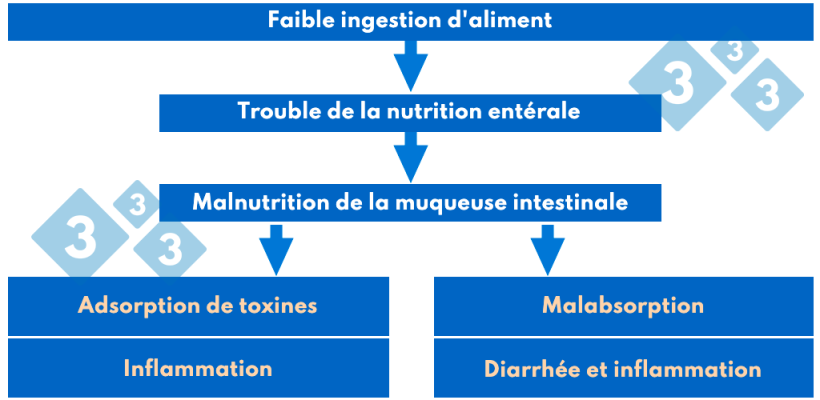 Tableau 3. Pathogènie du syndrome post-sevrage.