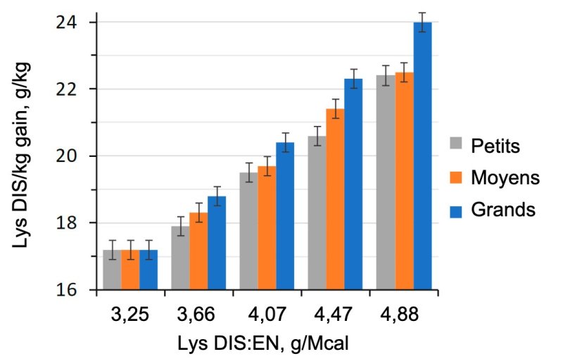 Figure 1. Effet du rapport lysine-&eacute;nergie du r&eacute;gime alimentaire chez les porcs d'engraissement (28-63 kg PV) class&eacute;s en fonction de leur poids initial (Aymerich et al., 2020).
