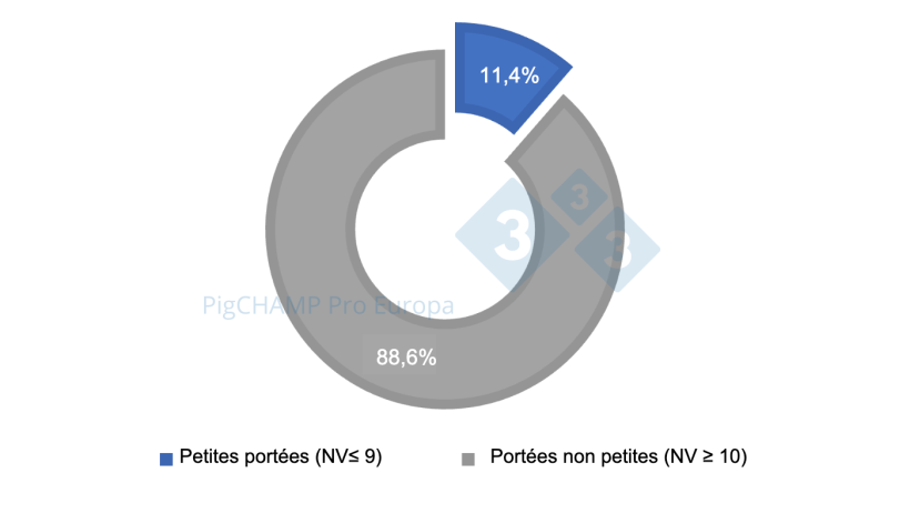 Graphique 1. Répartition en pourcentage des portées selon la taille, 2018-2019.