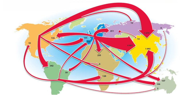 Principaux flux 2020 en milliers de tonnes (&eacute;changes de plus de 100 000 tonnes). Source: IFIP.
