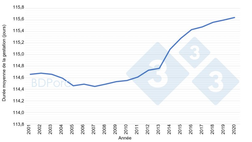 Graphique 2. Dur&eacute;e moyenne de gestation des truies en Espagne de 2001 &agrave; 2020. Source : BDPorc.
