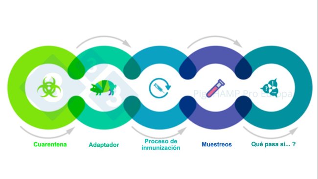 Figure 1. Principaux aspects interconnectés qui doivent être connus avant la visite.