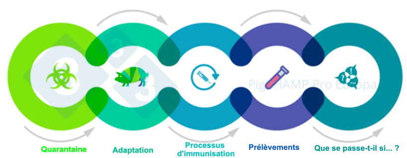 Figure 1. Principaux aspects interconnect&eacute;s qui doivent &ecirc;tre connus avant la visite.
