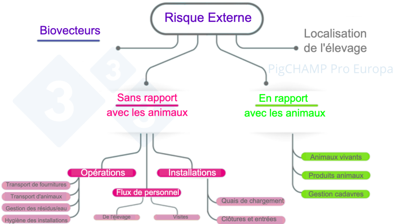 Figure 3. Sch&eacute;ma d'analyse des principaux facteurs de risque externe lors de la visite d'&eacute;levage.
