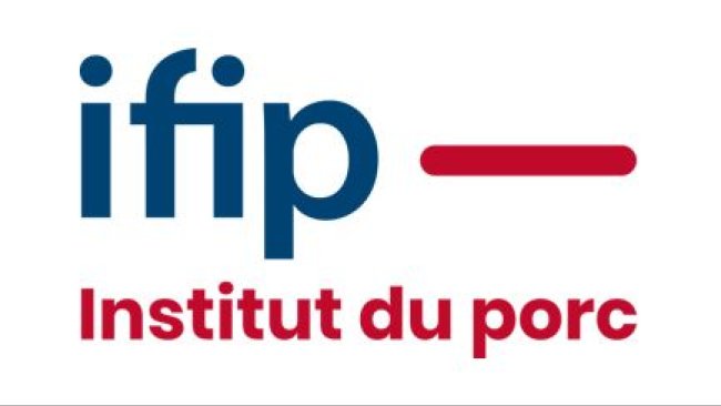 ifip logo