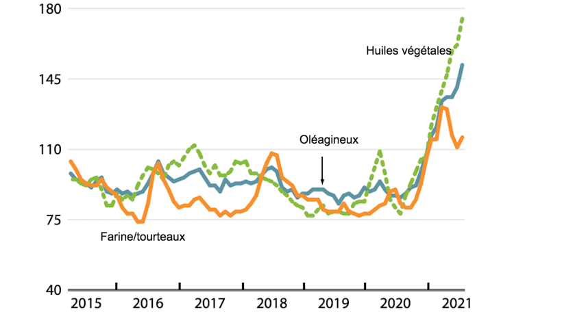 FAO Indices mensuels des prix internationaux des graines ol&eacute;agineuses, des huiles v&eacute;g&eacute;tales et des farines/tourteaux (2014-2016=100). Source : FAO.
