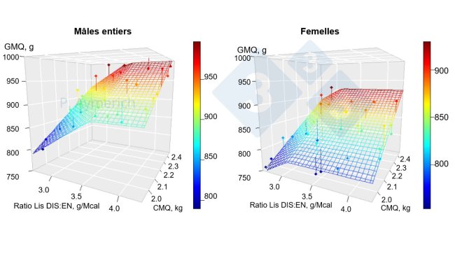 Figure 1. Modélisation de l'effet du rapport lysine-énergie et de la consommation moyenne journalière chez les mâles entiers et les femelles entre 70 et 105 kg de poids vif. GMQ =Gain moyen quotidien CMQ = consommation moyenne quotidienne. Source : Aymerich et al., 2020.