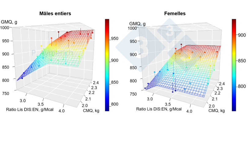 Figure 1. Mod&eacute;lisation de l'effet du rapport lysine-&eacute;nergie et de la consommation moyenne journali&egrave;re chez les m&acirc;les entiers et les femelles entre 70 et 105 kg de poids vif. GMQ =Gain moyen quotidien CMQ = consommation moyenne quotidienne. Source : Aymerich et al., 2020.
