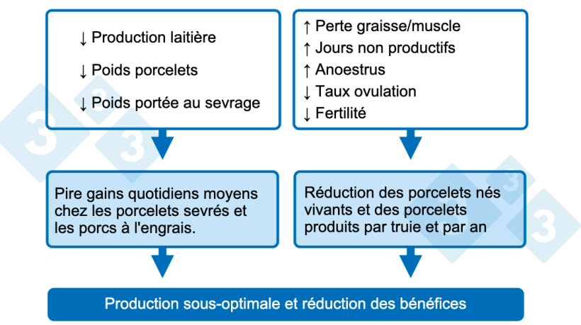 Graphique 1. Cons&eacute;quences d'une faible consommation de nutriments en lactation.
