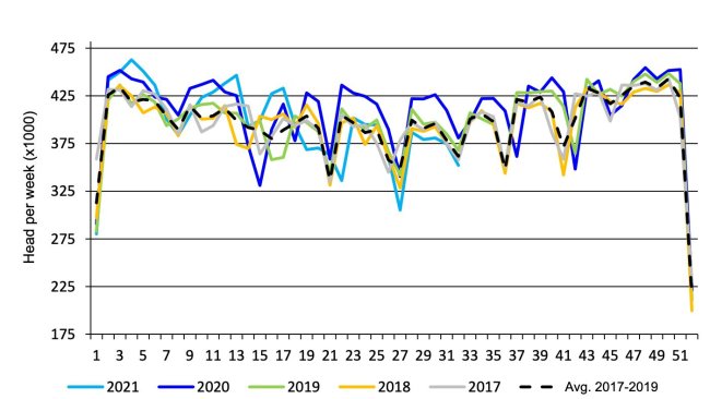 Abattage hebdomadaire de porcs sur le marché fédéral canadien. Source : USDA d’après Agriculture and Agri-Food Canada.