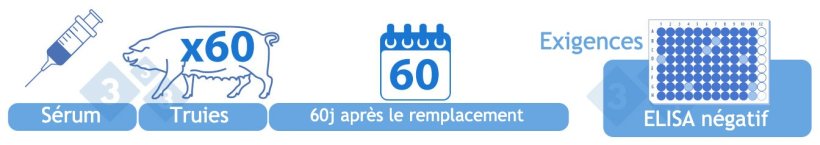Négatif (IV). Tester par ELISA le sérum de 60 truies 60 jours après la fin du remplacement de l'ensemble de l'élevage. Tous les résultats au niveau individuel doivent être négatifs. Alternativement, la catégorie IV peut être atteinte un an après le début de la catégorie III si aucun échantillon positif n'a été rapporté par ELISA. Les élevages repeuplés avec des animaux négatifs entrent dans cette catégorie par défaut tant que les résultats des tests de diagnostic sont négatifs.